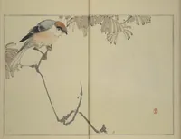 An illustration from Picture Album of Birds and Flowers (Seitei Kachō gafu) : [volume 1] (1890)