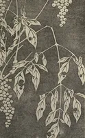An illustration from Jakuchū Picture Album (Jakuchū gajō) : [volume 1] (1900)