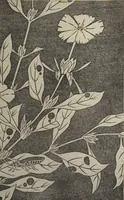 Picture 23 of 42 from Jakuchū Picture Album (Jakuchū gajō) : [volume 1] (1900), leaf 28