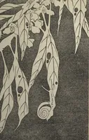 Picture 24 of 42 from Jakuchū Picture Album (Jakuchū gajō) : [volume 1] (1900), leaf 30
