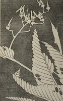 An illustration from Jakuchū Picture Album (Jakuchū gajō) : [volume 1] (1900)