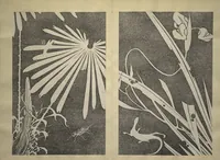 Picture 35 of 42 from Jakuchū Picture Album (Jakuchū gajō) : [volume 1] (1900), leaf 42