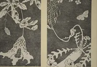 Picture 39 of 42 from Jakuchū Picture Album (Jakuchū gajō) : [volume 1] (1900), leaf 47