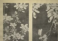 Picture 4 of 42 from Jakuchū Picture Album (Jakuchū gajō) : [volume 1] (1900), leaf 6