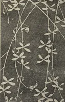 An illustration from Jakuchū Picture Album (Jakuchū gajō) : [volume 1] (1900)