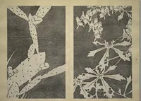 Picture 16 of 38 from Jakuchū Picture Album (Jakuchū gajō) : [volume 2] (1900), leaf 19