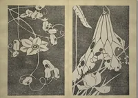 Picture 18 of 38 from Jakuchū Picture Album (Jakuchū gajō) : [volume 2] (1900), leaf 21