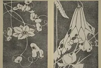 Picture 19 of 38 from Jakuchū Picture Album (Jakuchū gajō) : [volume 2] (1900), leaf 22