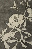 Picture 28 of 38 from Jakuchū Picture Album (Jakuchū gajō) : [volume 2] (1900), leaf 29