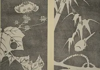 Picture 33 of 38 from Jakuchū Picture Album (Jakuchū gajō) : [volume 2] (1900), leaf 34