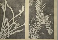 Picture 34 of 38 from Jakuchū Picture Album (Jakuchū gajō) : [volume 2] (1900), leaf 35