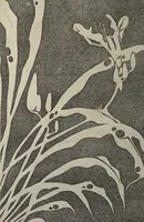 Picture 6 of 38 from Jakuchū Picture Album (Jakuchū gajō) : [volume 2] (1900), leaf 7