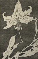 An illustration from Jakuchū Picture Album (Jakuchū gajō) : [volume 2] (1900)