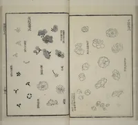 An illustration from Part 2 from The Mustard Seed Garden Painting Manual (3rd Chinese edition) : [volume 3] (1800)