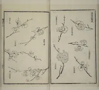 An illustration from Part 2 from The Mustard Seed Garden Painting Manual (3rd Chinese edition) : [volume 3] (1800)