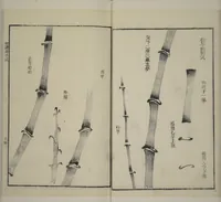 An illustration from Part 2 from The Mustard Seed Garden Painting Manual (3rd Chinese edition) : [volume 2] (1800)