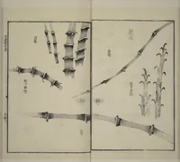 An illustration from Part 2 from The Mustard Seed Garden Painting Manual (3rd Chinese edition) : [volume 2] (1800)