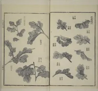An illustration from Part 2 from The Mustard Seed Garden Painting Manual (3rd Chinese edition) : [volume 4] (1800)