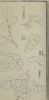 Picture 5 of 15 from Part 2 from The Mustard Seed Garden Painting Manual (3rd Chinese edition) : [volume 4] (1800), leaf 15