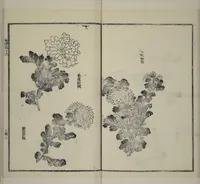 An illustration from Part 2 from The Mustard Seed Garden Painting Manual (3rd Chinese edition) : [volume 4] (1800)