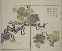 Picture 4 of 11 from The Mustard Seed Garden Painting Manual : [volume 1] (1748), leaf 10