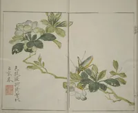 An illustration from The Mustard Seed Garden Painting Manual : [volume 1] (1748)