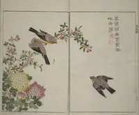 An illustration from The Mustard Seed Garden Painting Manual : [volume 1] (1748)