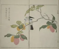An illustration from The Mustard Seed Garden Painting Manual : [volume 1] (1748)