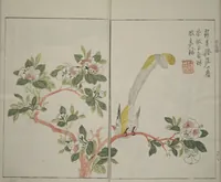 An illustration from The Mustard Seed Garden Painting Manual : [volume 1] (1748)