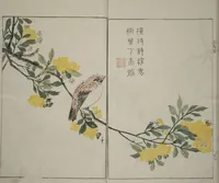 An illustration from The Mustard Seed Garden Painting Manual : [volume 1] (1748)