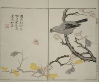 An illustration from The Mustard Seed Garden Painting Manual : [volume 1] (1748)