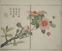 An illustration from The Mustard Seed Garden Painting Manual : [volume 1] (1748)
