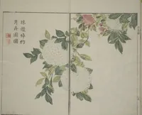 An illustration from The Mustard Seed Garden Painting Manual : [volume 1] (1748)