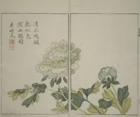 An illustration from The Mustard Seed Garden Painting Manual : [volume 2] (1748)