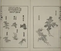 An illustration from The Mustard Seed Garden Painting Manual : [volume 2] (Japanese reprint) (1753)