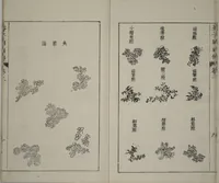 An illustration from The Mustard Seed Garden Painting Manual : [volume 2] (Japanese reprint) (1753)