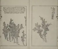 An illustration from The Mustard Seed Garden Painting Manual : [volume 2] (Japanese reprint) (1753)