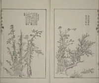 An illustration from The Mustard Seed Garden Painting Manual : [volume 2] (Japanese reprint) (1753)