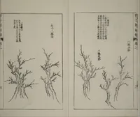 An illustration from The Mustard Seed Garden Painting Manual : [volume 2] (Japanese reprint) (1753)