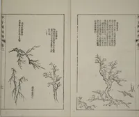 An illustration from The Mustard Seed Garden Painting Manual : [volume 2] (Japanese reprint) (1753)