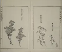 An illustration from The Mustard Seed Garden Painting Manual : [volume 2] (Japanese reprint) (1753)
