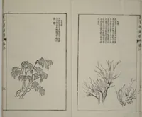 An illustration from The Mustard Seed Garden Painting Manual : [volume 3] (Japanese reprint) (1753)