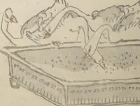 Picture 5 of 15 from Kanrin Picture Album (Kanrin gafu 閑林画譜) : [volume 1] (1845), leaf 11