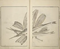 Picture 11 of 15 from Kanrin Picture Album (Kanrin gafu 閑林画譜) : [volume 1] (1845), leaf 19