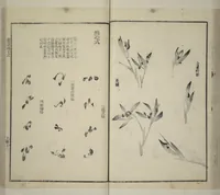 An illustration from Part 2 from The Mustard Seed Garden Painting Manual (3rd Chinese edition) : [volume 1] (1800)