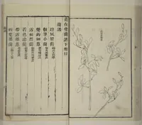 An illustration from Part 2 from The Mustard Seed Garden Painting Manual (3rd Chinese edition) : [volume 1] (1800)