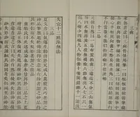 An illustration from The Mustard Seed Garden Painting Manual : [volume 1] (Japanese reprint) (1753)