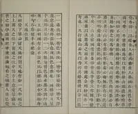 An illustration from The Mustard Seed Garden Painting Manual : [volume 1] (Japanese reprint) (1753)