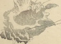 An illustration from Kyōsai’s Drawings for Pleasure (Kyōsai rakuga) : [volume 1] (1881)