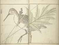 Picture 6 of 12 from Kihō Picture Album (Kihō gafu 埼鳳画譜) (1827), leaf 16